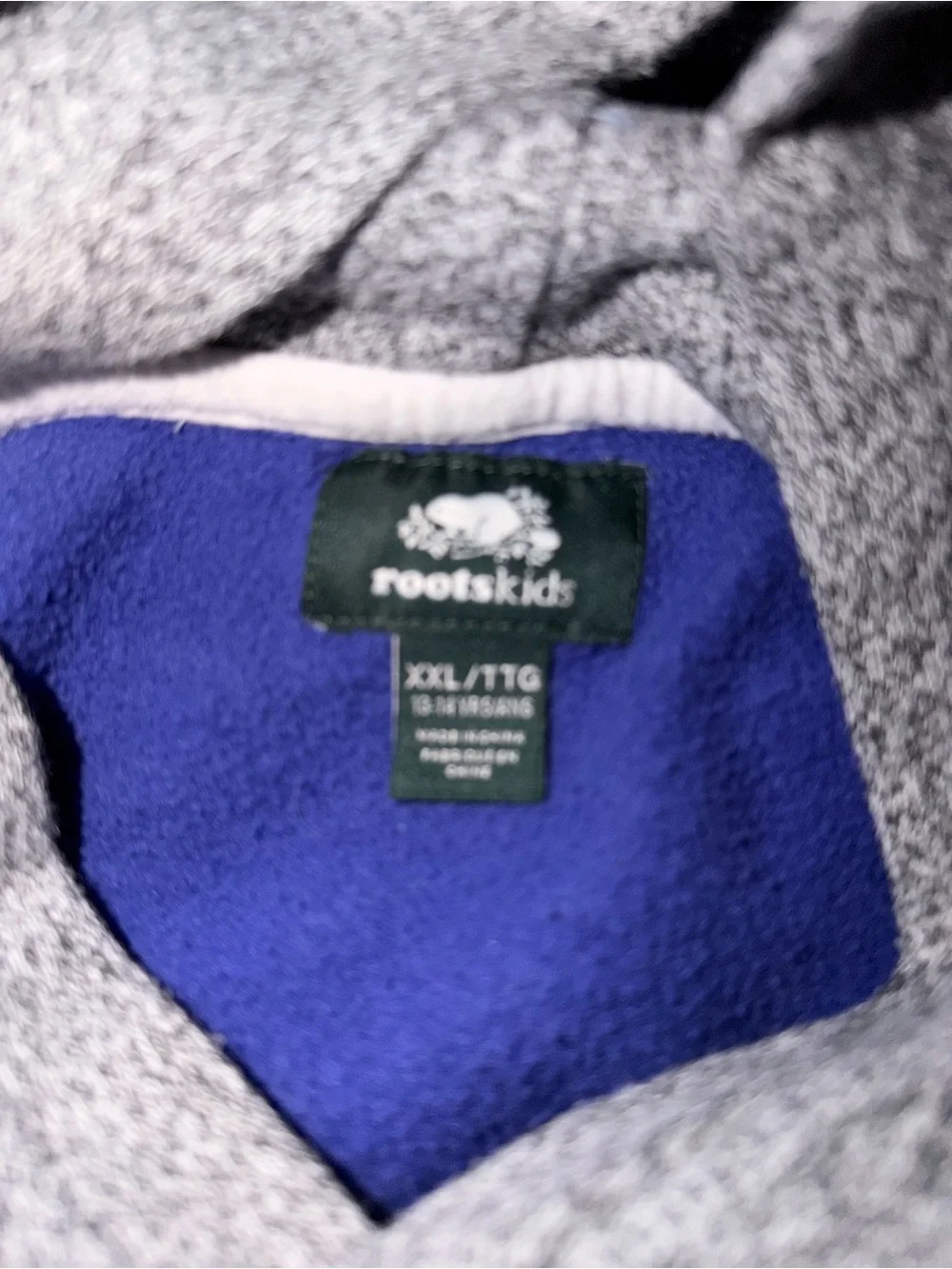 Roots Kids Colorblock Hoodie in Purple, Gray, Green & Orange